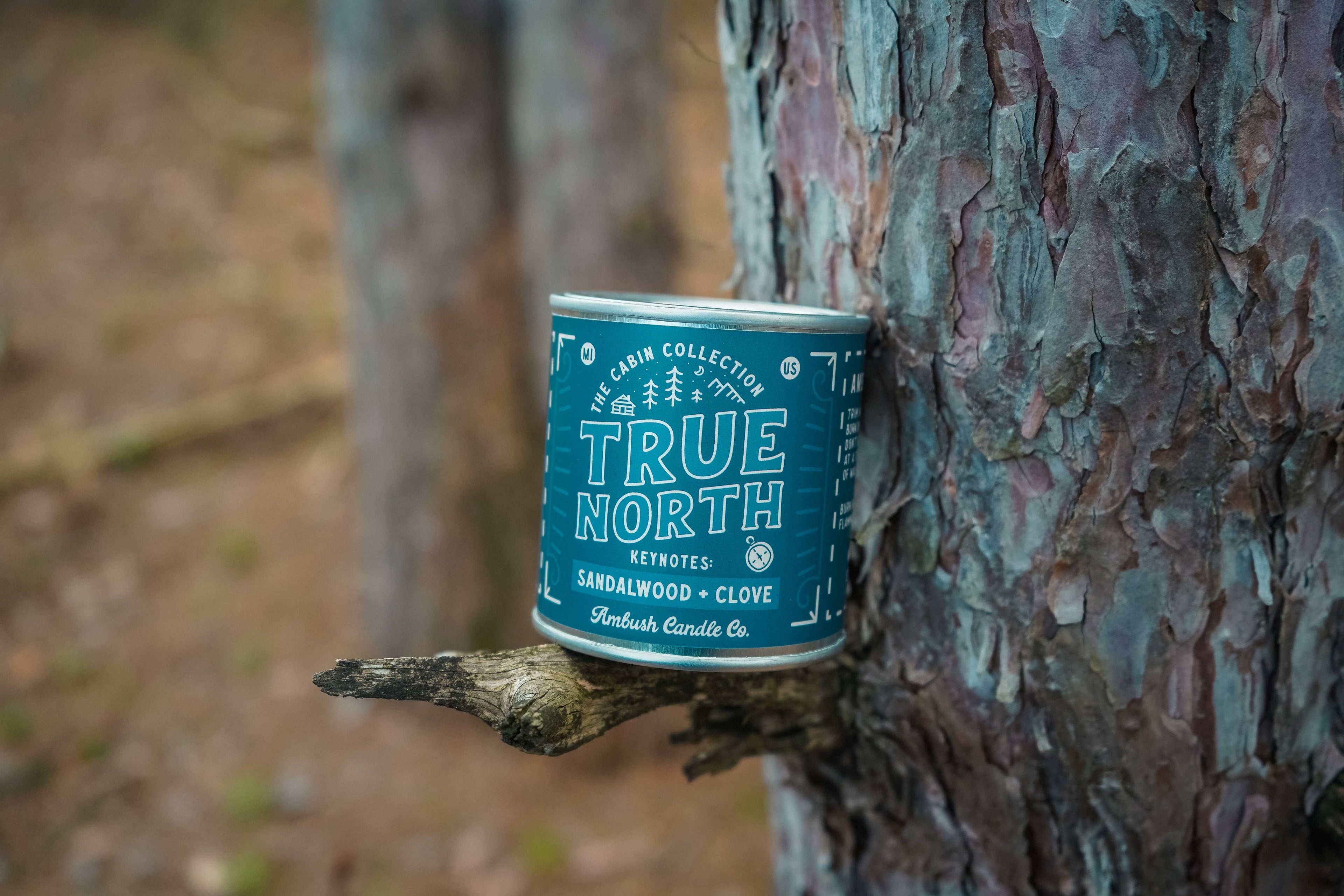 True North | Sandalwood + Clove 8oz Soy Candle